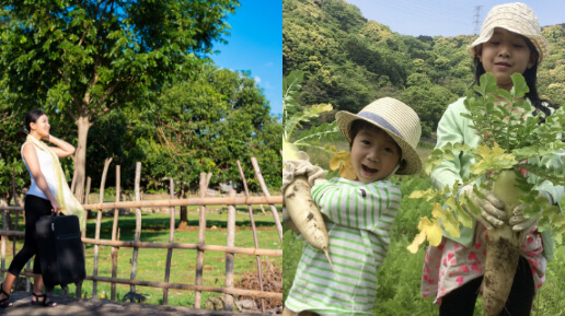 三重県の自然あふれる田舎の様子