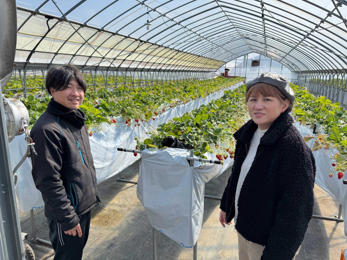 濃厚な味のいちごが溢れ出す、いちご農園FRAGARIA そしてCafe FRAGARIA