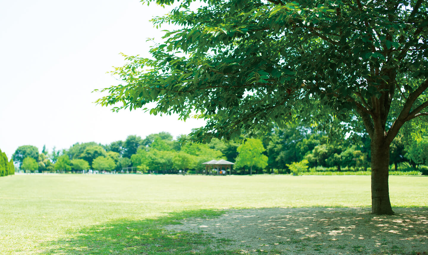 松阪農業公園 ベルファーム 三重の里いなか旅のススメ