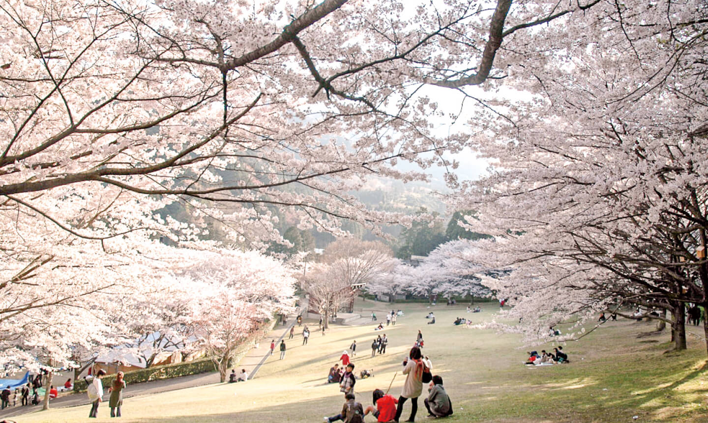 松阪市森林公園の写真