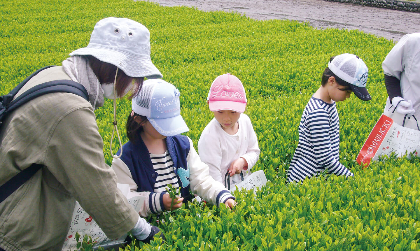 自然体験あそび塾 チームわらべの写真