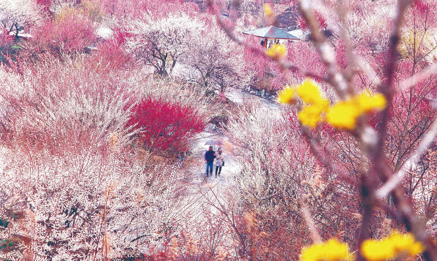 いなべ市農業公園の写真