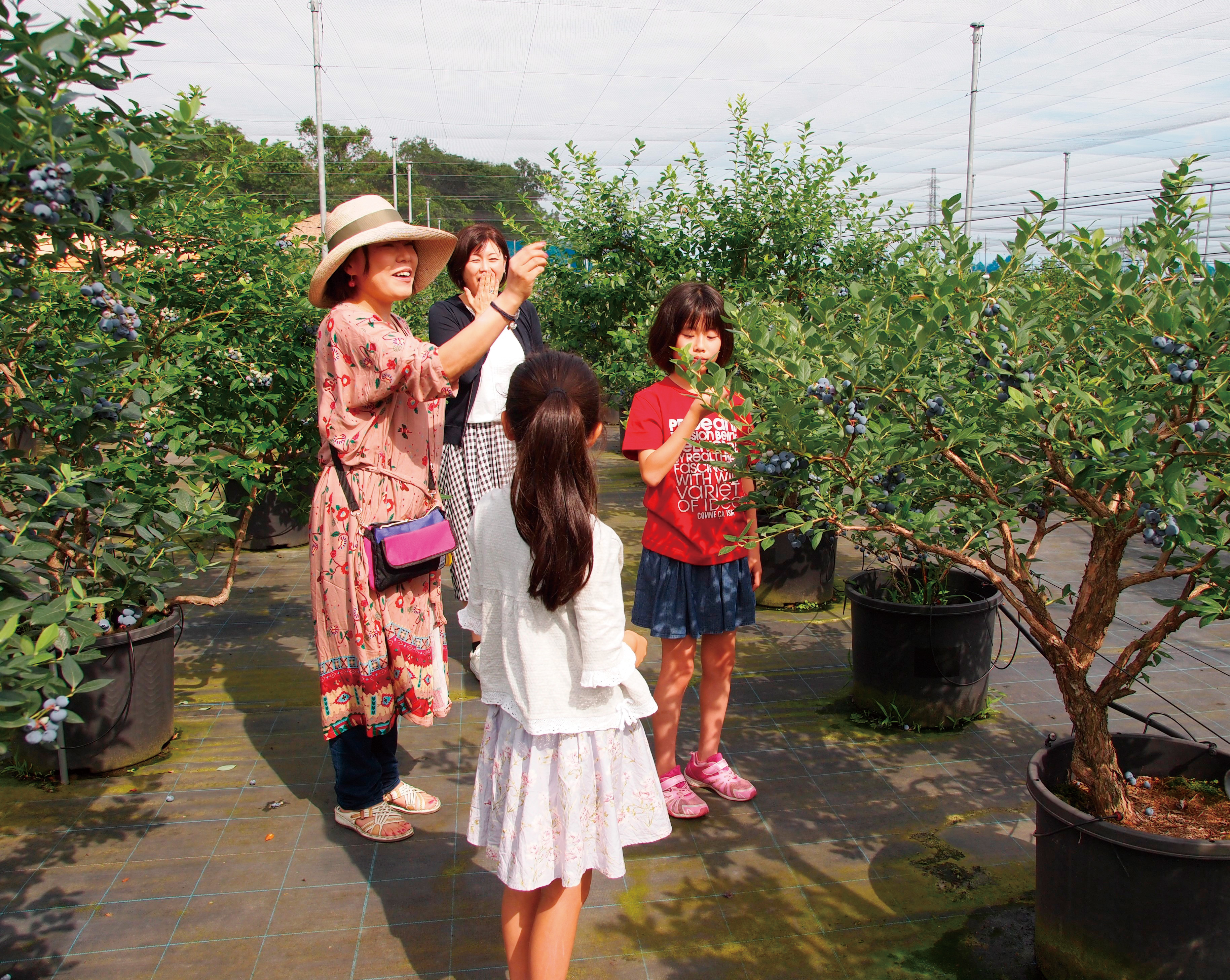 Sakura Berry’s Gardenの写真