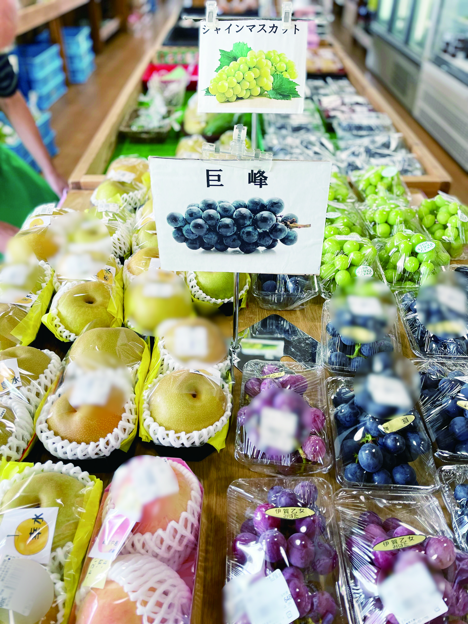 店舗イメージ写真