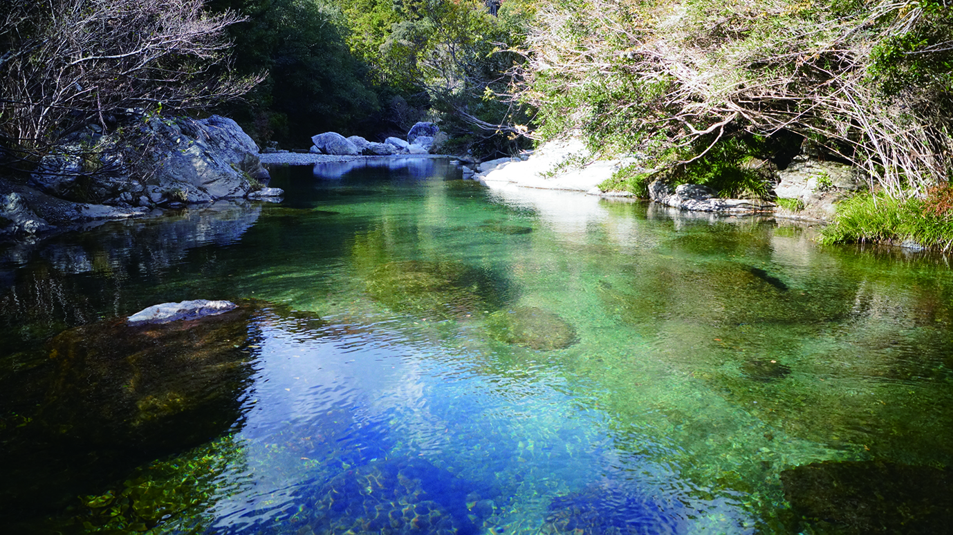 店舗イメージ写真